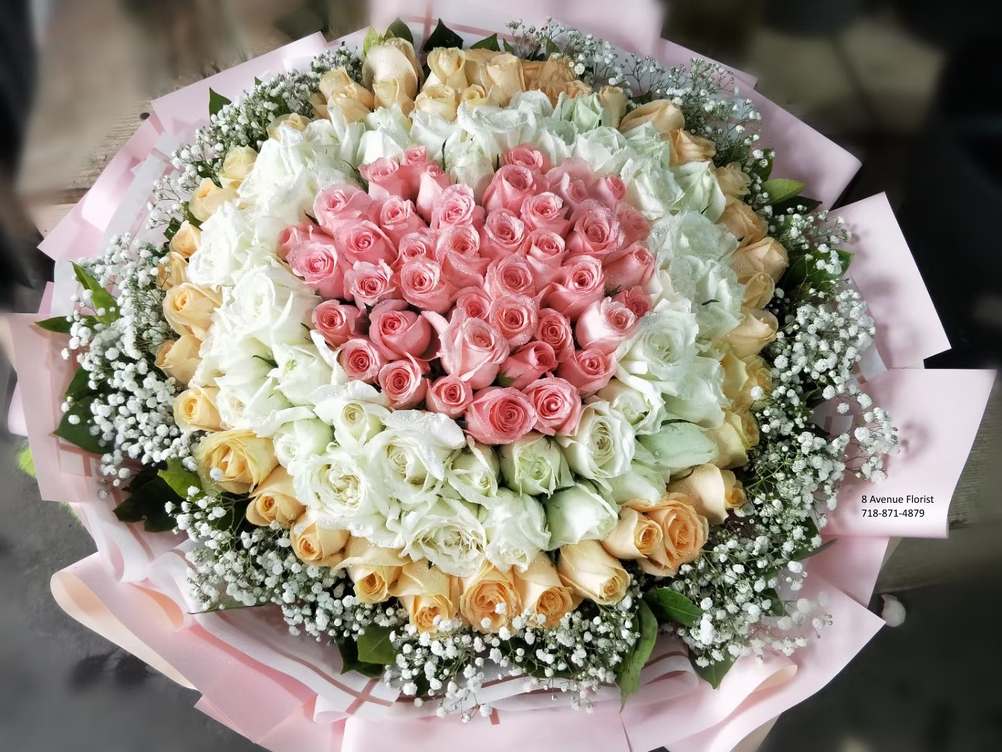 花卉圖48 让兴趣，更有趣